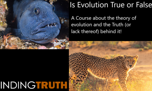 Is Evolution True or False?